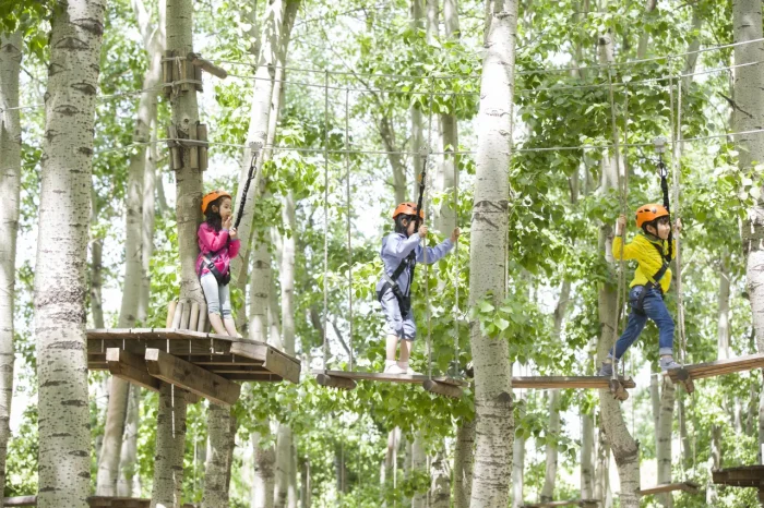 happy children in Sveta Ana adrenalin park