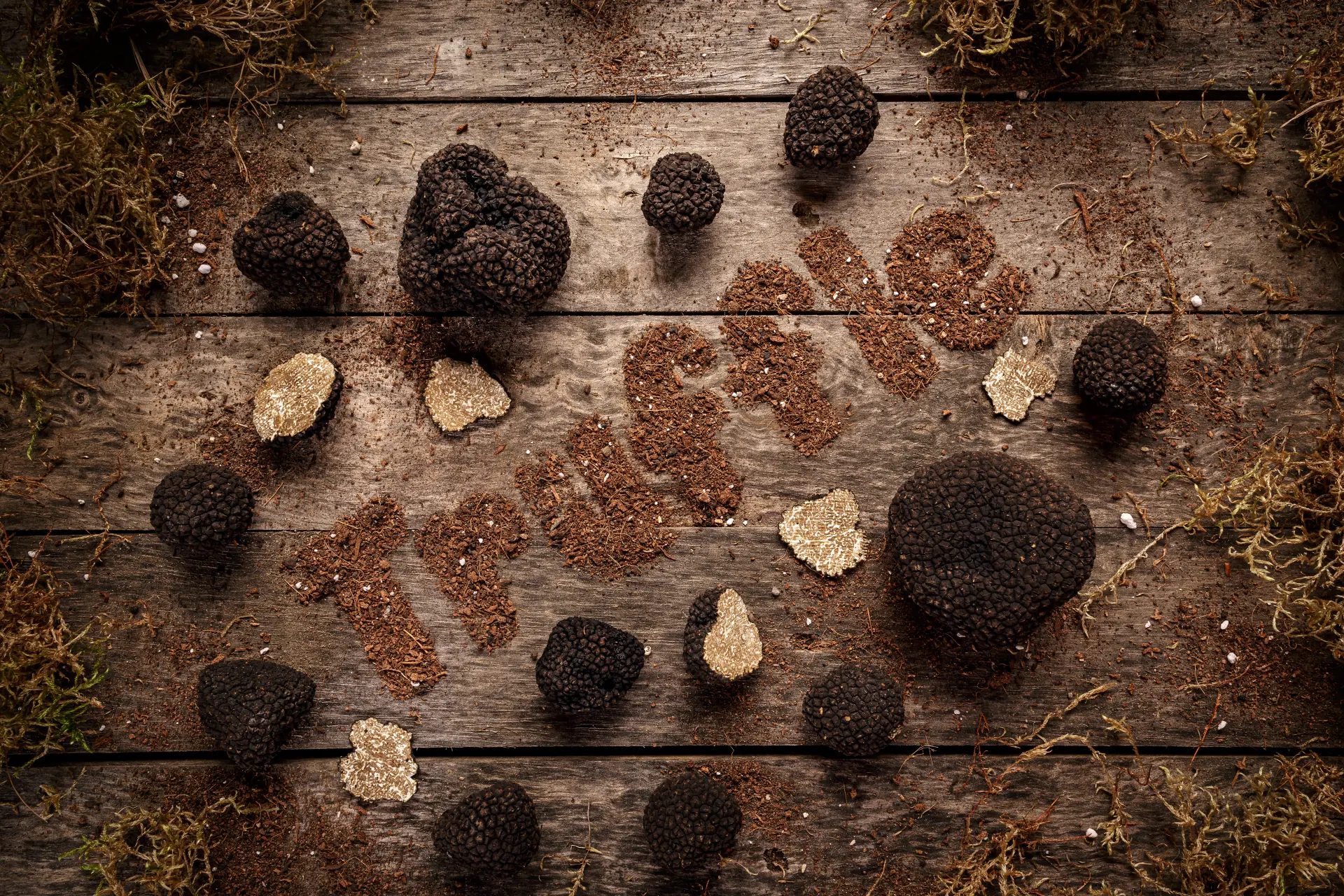 truffle hunting in Buzet Croatia