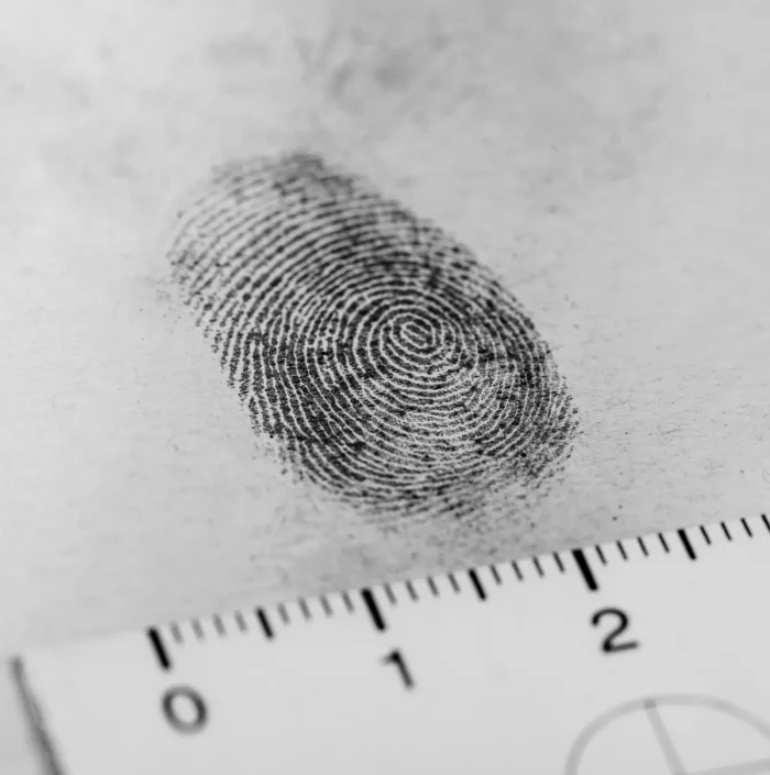 a fingerprint